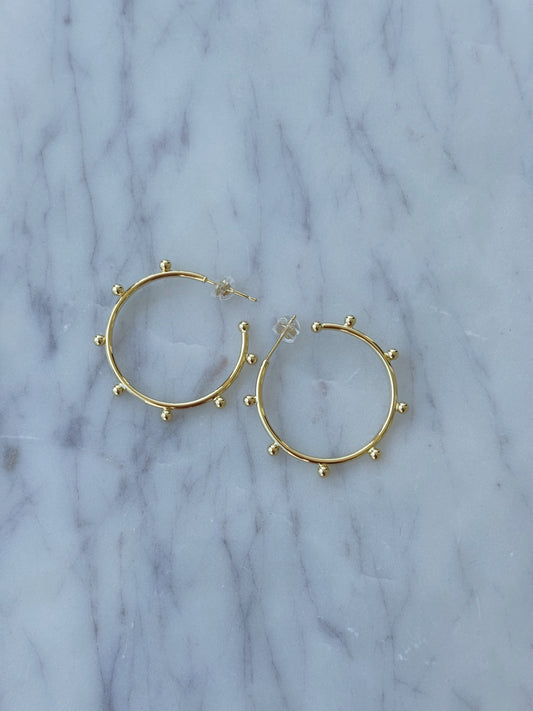 Alayna Hoops
